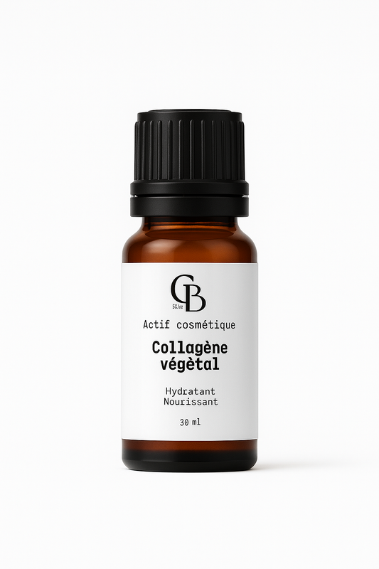 Actif collagène végétal